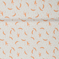 Kinderstoffe Jerseystoffe