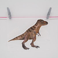 IRON ON SET DINO