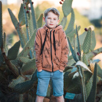 FRENCH TERRY PALM TREES PECAN BROWN