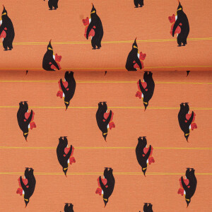 French Terry Sommersweat Kinderstoffe