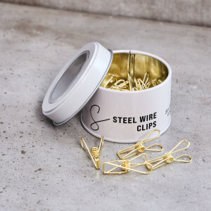 STEEL WIRE CLIPS SMALL (20 pcs.) gold