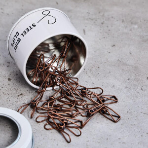 STEEL WIRE CLIPS SMALL (20 pcs.) bronze