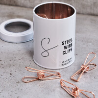 STEEL WIRE CLIPS MEDIUM (10 pcs.) rose gold