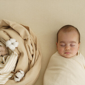 ORGANIC INTERLOCK JERSEY STRIPES ECRU BROWN