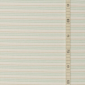ORGANIC INTERLOCK JERSEY STRIPES COLOR