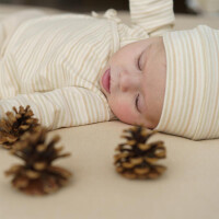 ORGANIC INTERLOCK JERSEY STRIPES COLOR