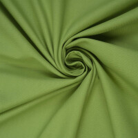 CANVAS BASIC GRASS GREEN