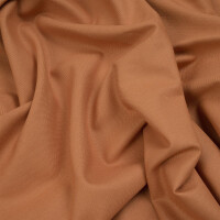 CANVAS BASIC RUST