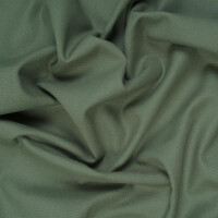 CANVAS BASIC PALE PINE