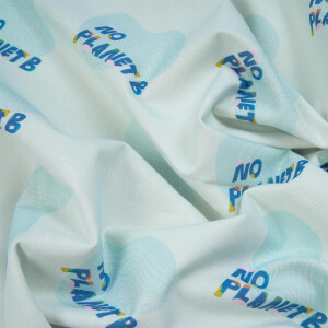 CANVAS NO PLANET B LIGHT BLUE