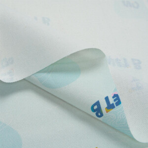 CANVAS NO PLANET B LIGHT BLUE