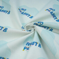 CANVAS NO PLANET B LIGHT BLUE