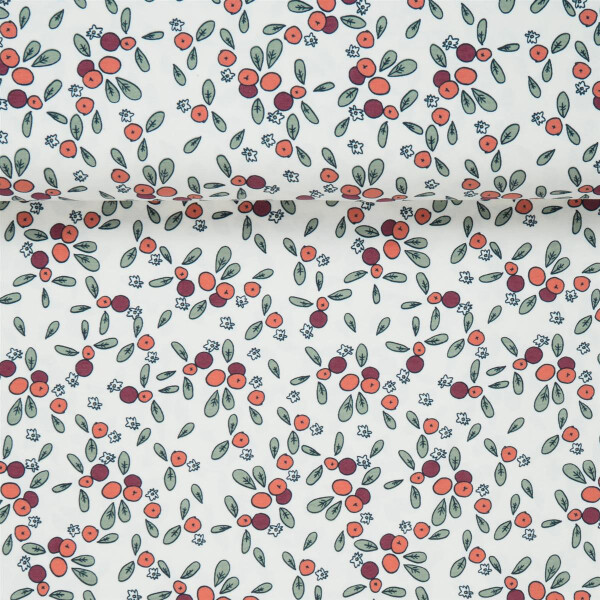 Biostoffe Jersytoffe