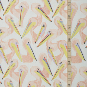 CANVAS PELICANS ECRU
