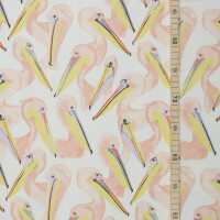 CANVAS PELICANS ECRU