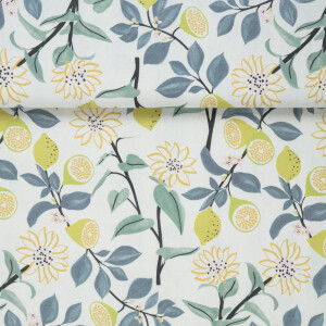 Canvas Stoffe kaufen