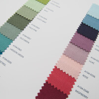 COLOR CARD CANVAS BASIC