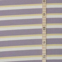 TENCEL DERBY RIBBED STRIPE JERSEY PURPLE HAZE