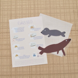 BÜGELBILD SEEHUND UND ROBBE (2 St.)