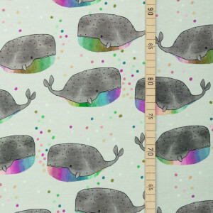 ORGANIC JERSEY REGENBOGENWAL GREY