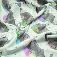 ORGANIC JERSEY REGENBOGENWAL GREY