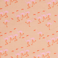 FRENCH TERRY WONDERS OF LIFE FLAMINGO DUSTY PINK